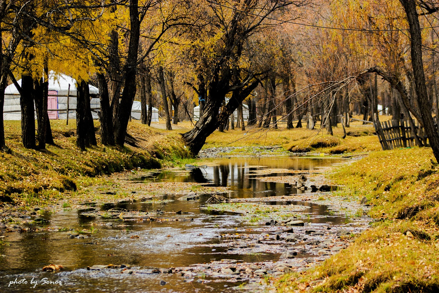 Өнөөдөр ихэнх нутгаар дулаахан байна